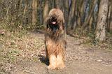 BRIARD 007
